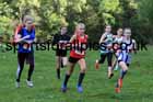 Girls under-13s, 2022 NECAA Cross Country Relays, Thornley Hall Farm, Peterlee, County Durham, October 15th. Photo: David T. Hewitson/Sports for All Pics